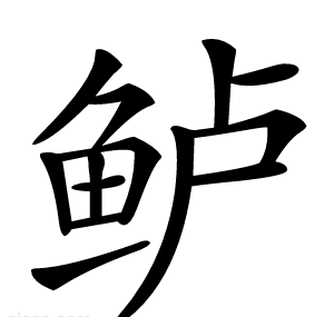 鲈